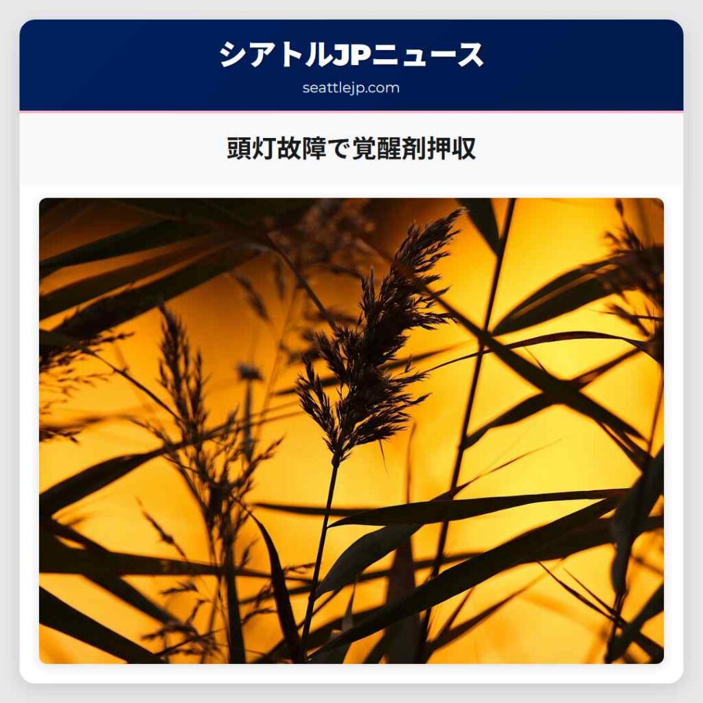 頭灯故障で覚醒剤押収