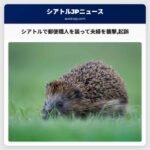 シアトルで郵便職人を装って夫婦を襲撃逮捕された男が起訴