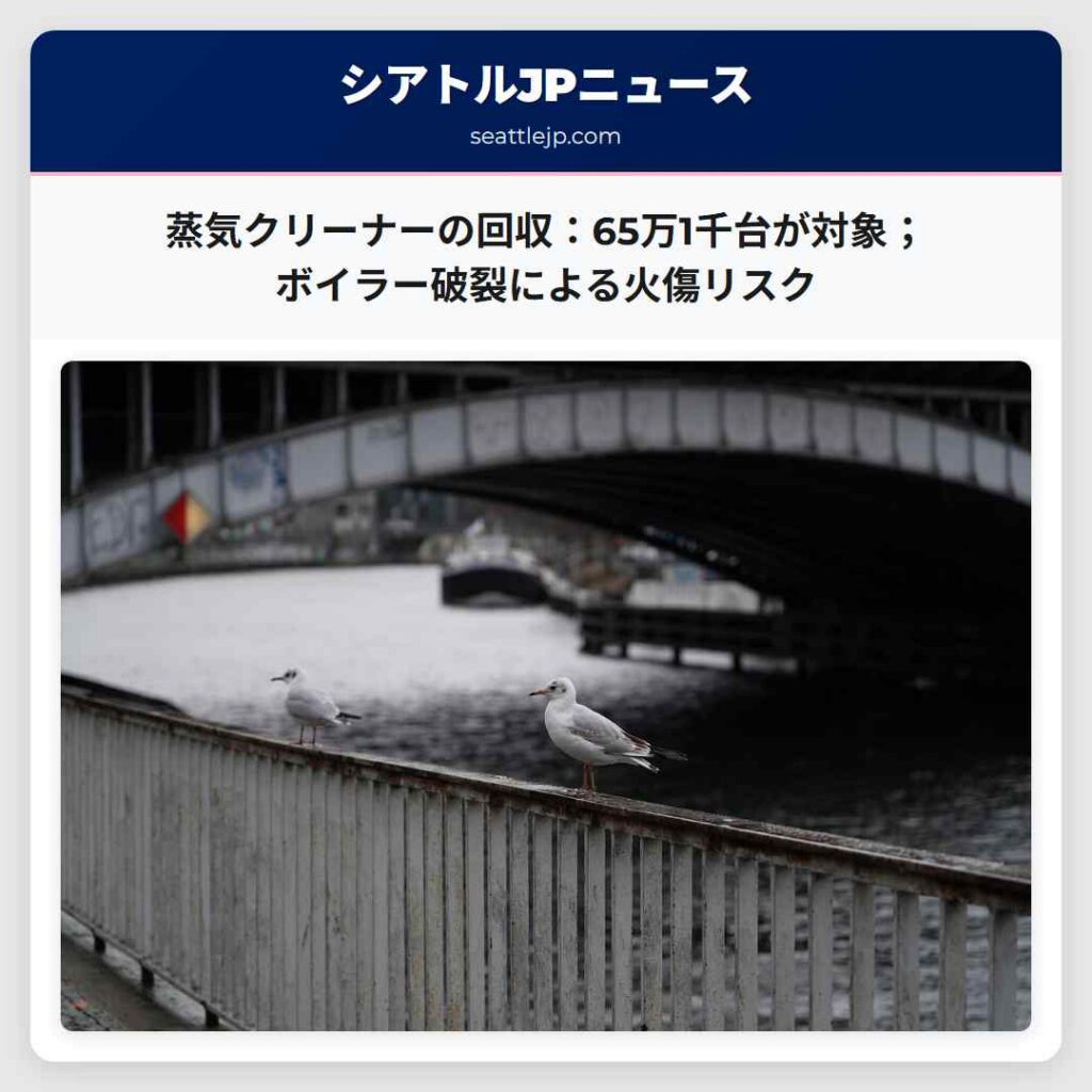 蒸気クリーナーの回収：65万1千台が対象；ボイラー破裂による火傷リスク
