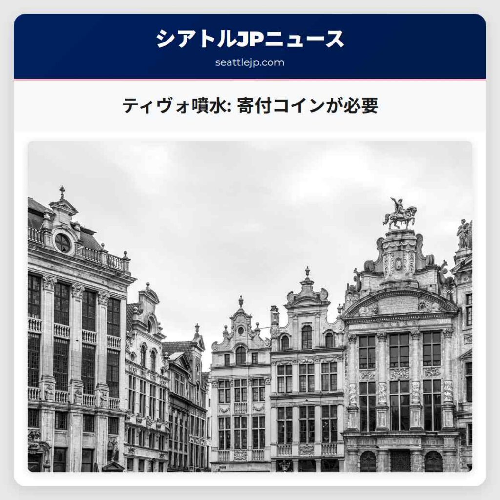 ティヴォ噴水: 寄付コインが必要