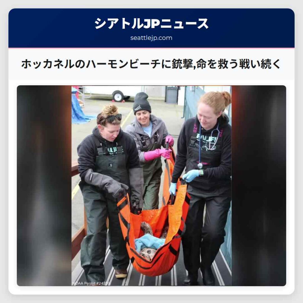 ホッカネルのハーモンビーチに銃撃,命を救う戦い続く