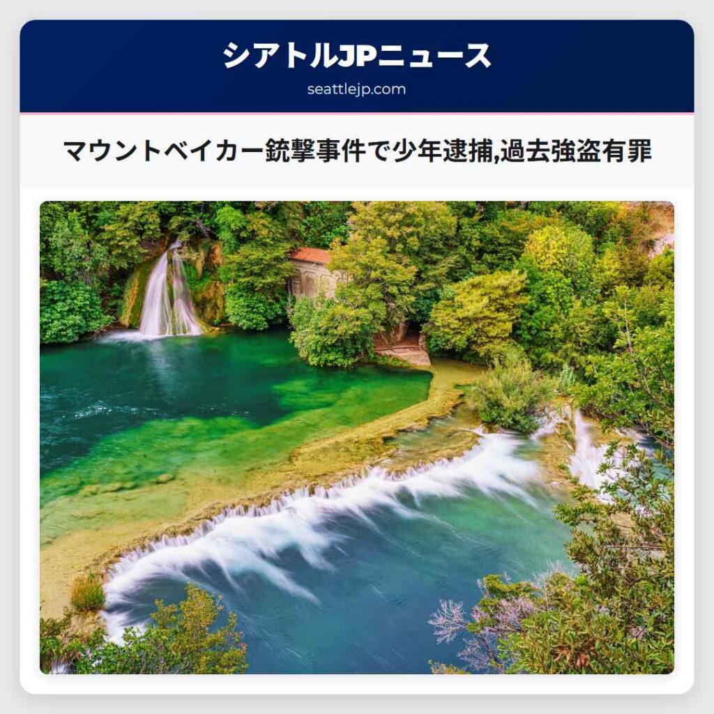 マウントベイカー銃撃事件で少年逮捕,過去強盗有罪