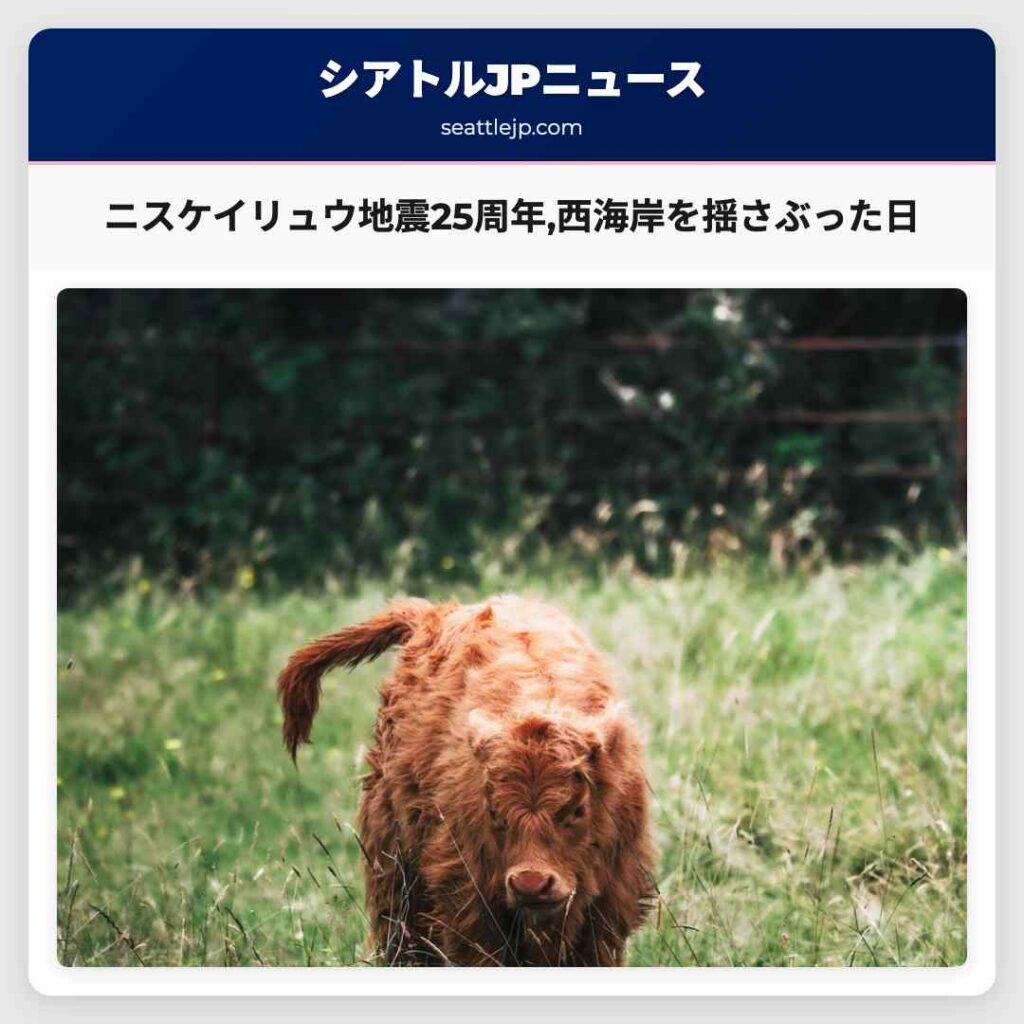 ニスケイリュウ地震25周年,西海岸を揺さぶった日