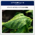 驚きの事故：ドライバーが飛来するフロントグリルから一命を守った