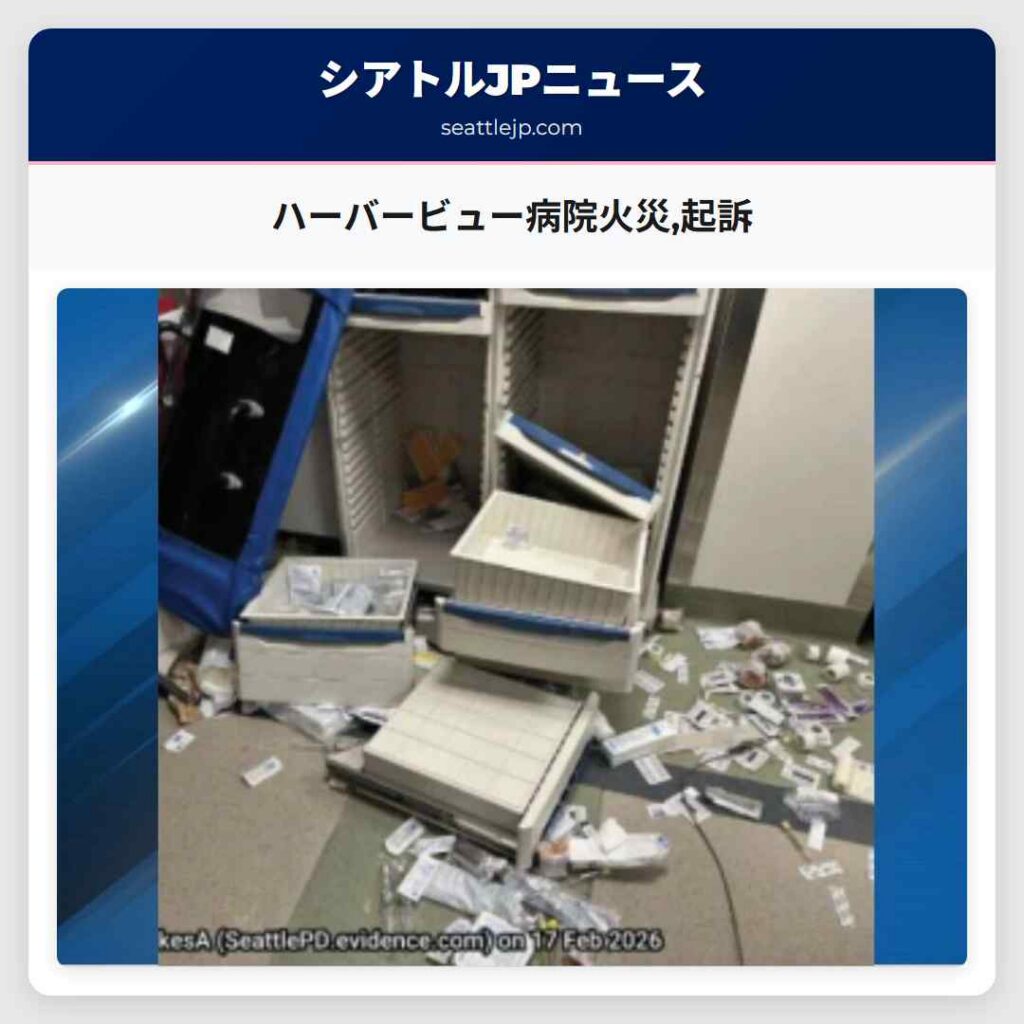 ハーバービュー病院火災,起訴