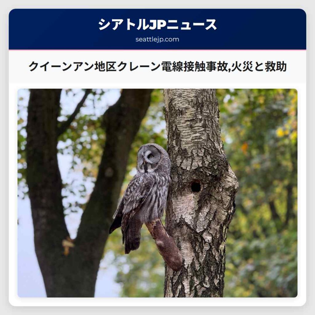 クイーンアン地区クレーン電線接触事故,火災と救助