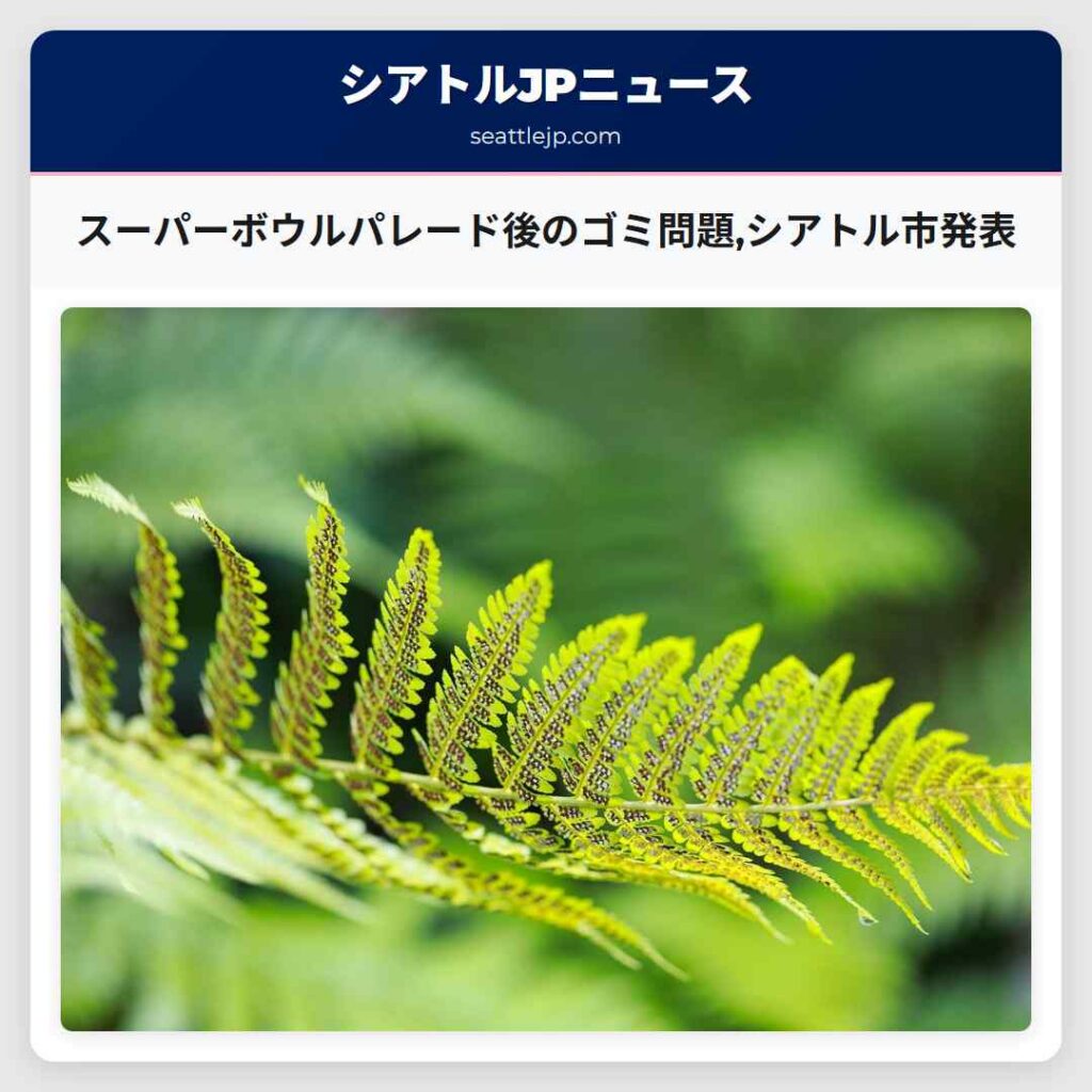 スーパーボウルパレード後のゴミ問題,シアトル市発表