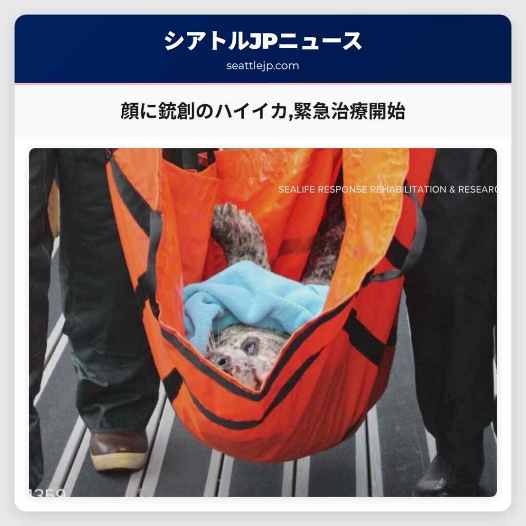 顔に銃創のハイイカ,緊急治療開始