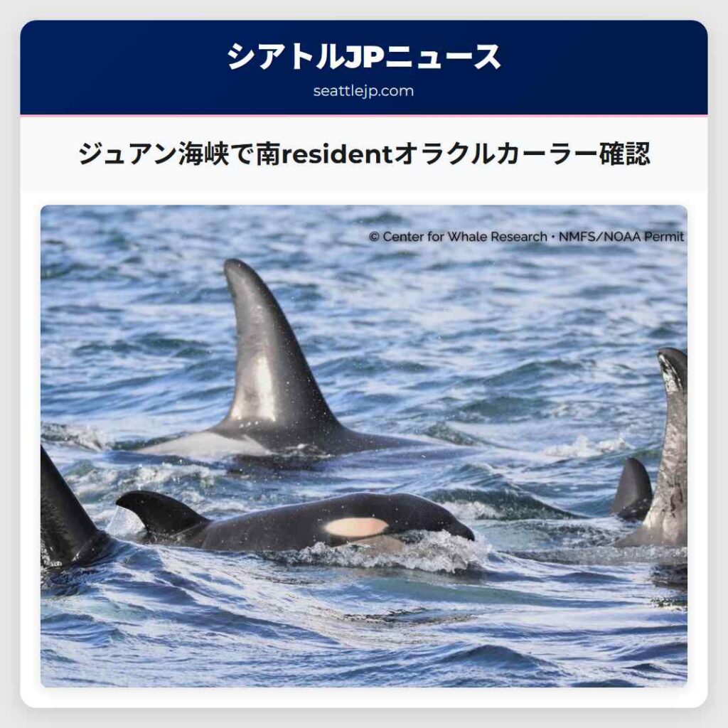 ジュアン海峡で南residentオラクルカーラー確認
