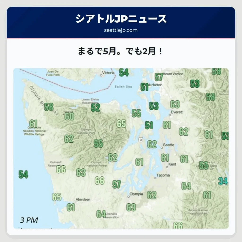 まるで5月。でも2月！