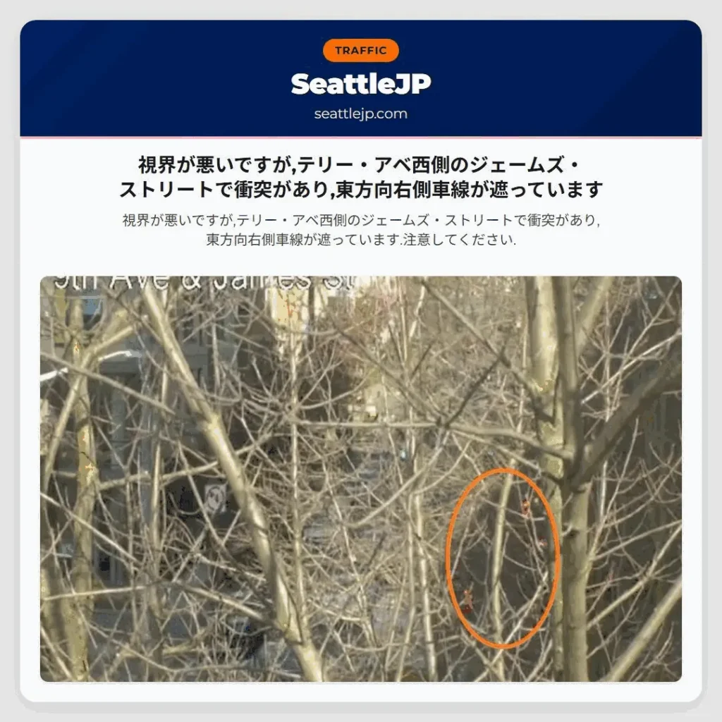 視界が悪いですが,テリー・アベ西側のジェームズ・ストリートで衝突があり,東方向右側車線が遮っています