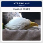 ワシントン州の自然を守るPAWS動物救護センター