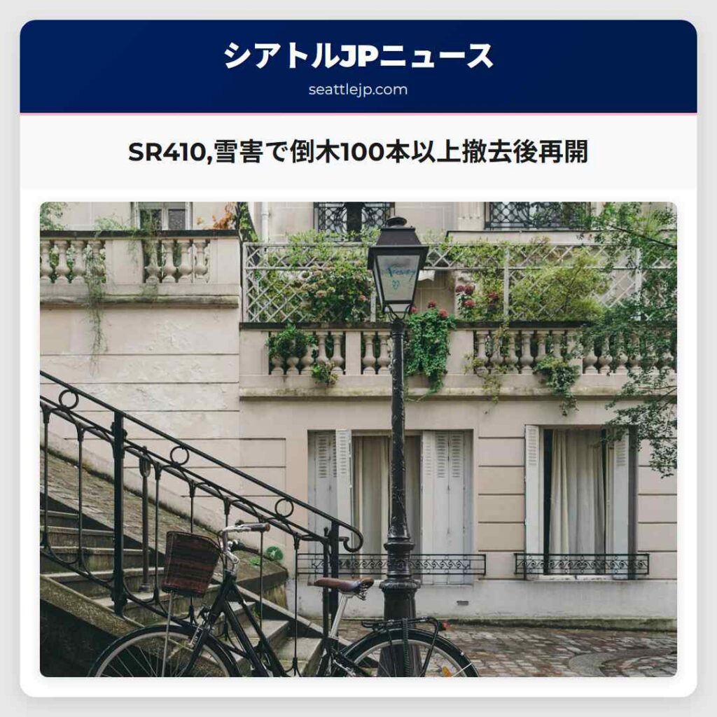 SR410,雪害で倒木100本以上撤去後再開