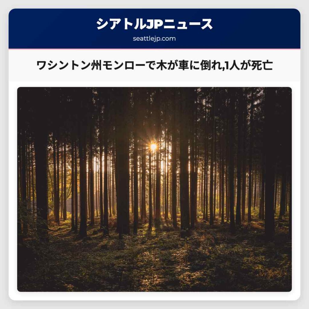 ワシントン州モンローで木が車に倒れ,1人が死亡