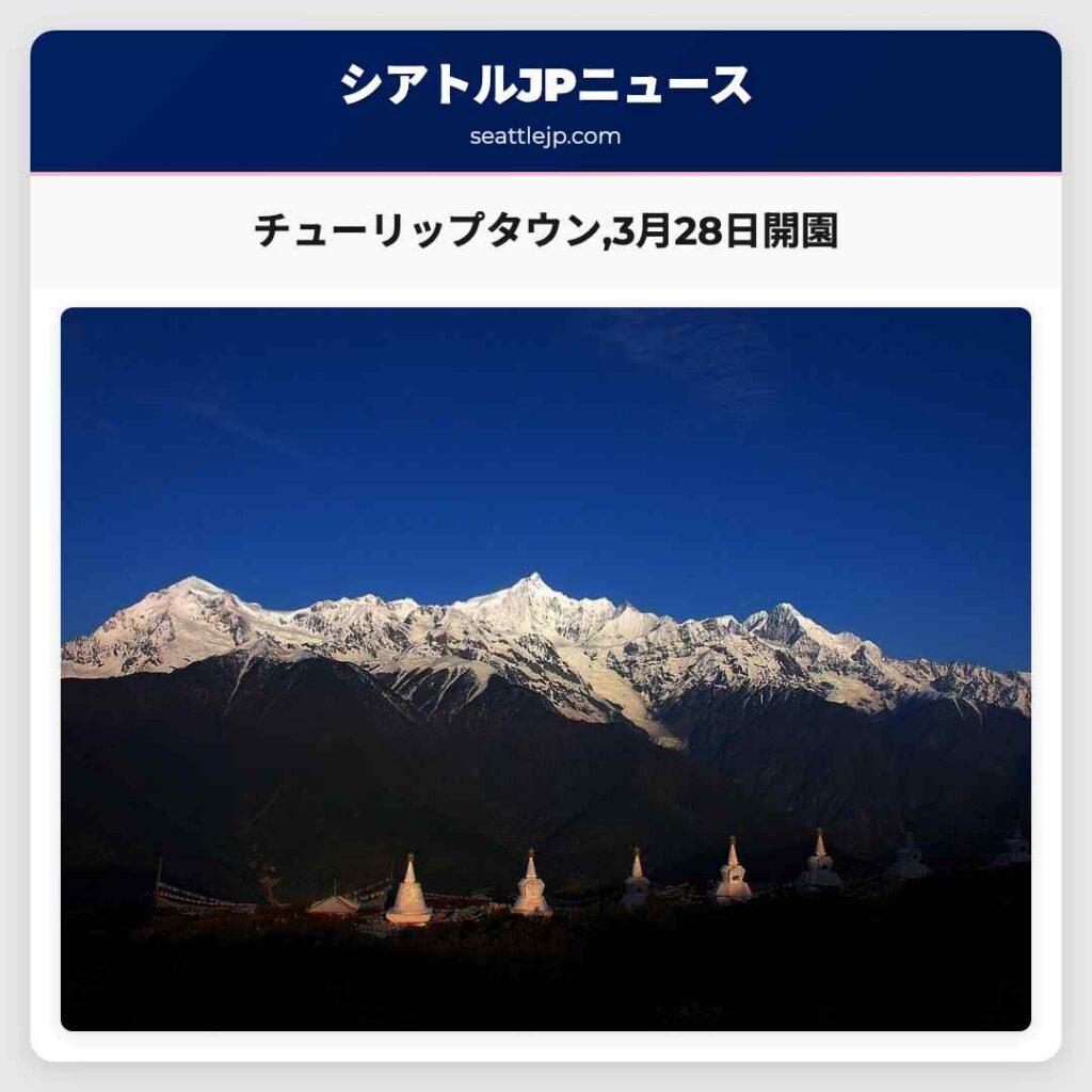 チューリップタウン,3月28日開園