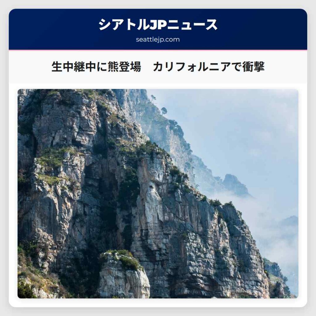 生中継中に熊登場　カリフォルニアで衝撃