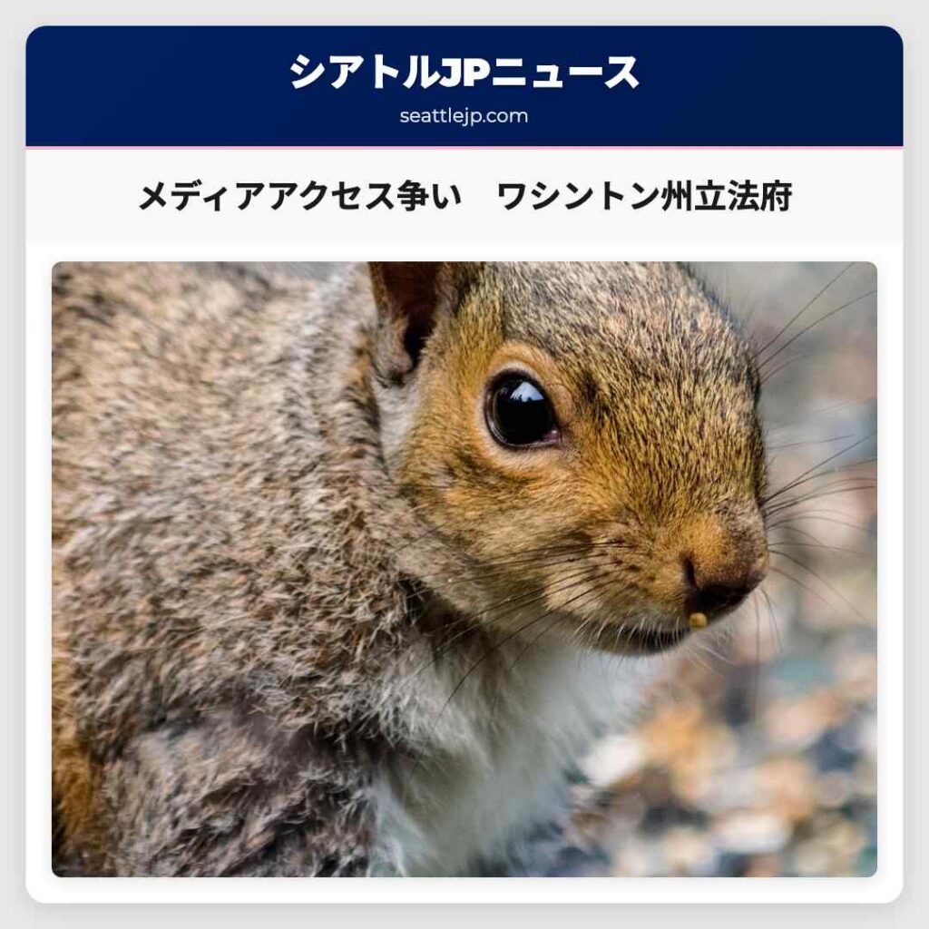 メディアアクセス争い　ワシントン州立法府