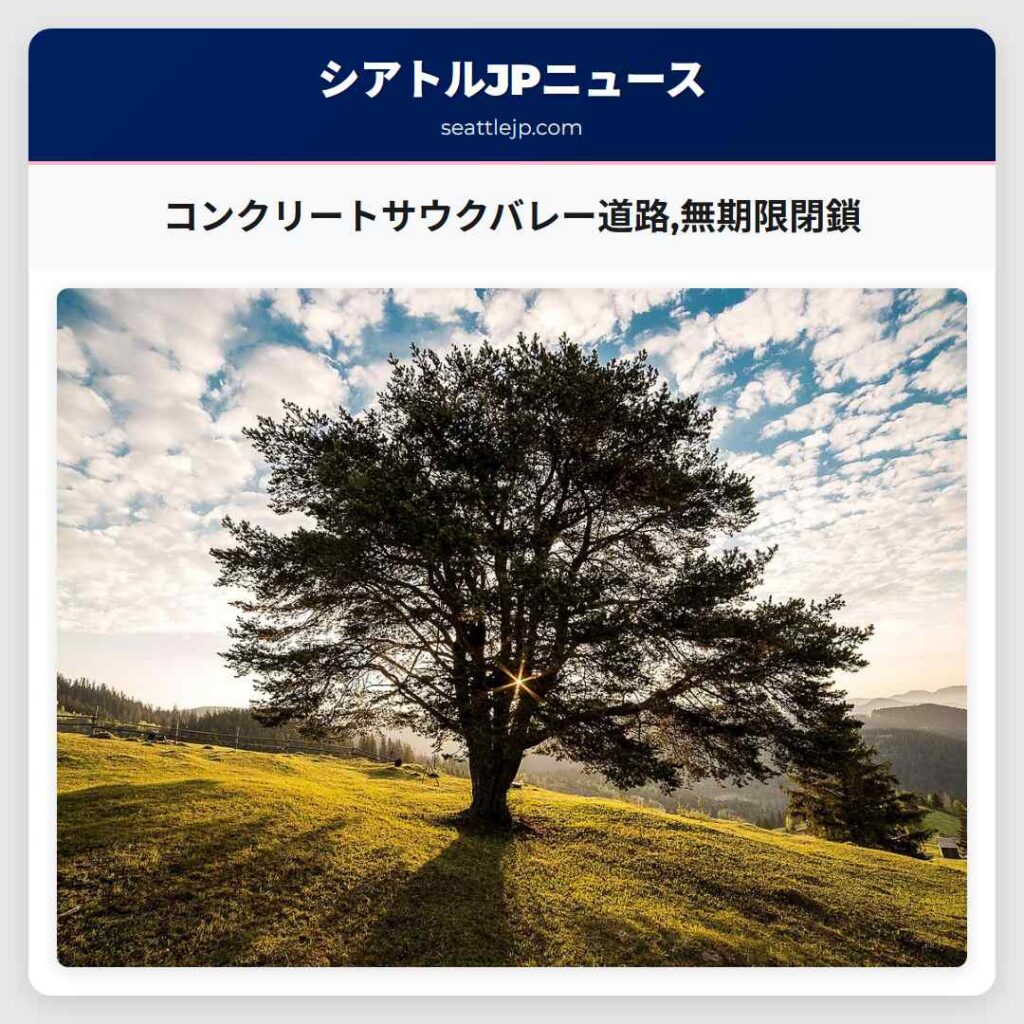 コンクリートサウクバレー道路,無期限閉鎖