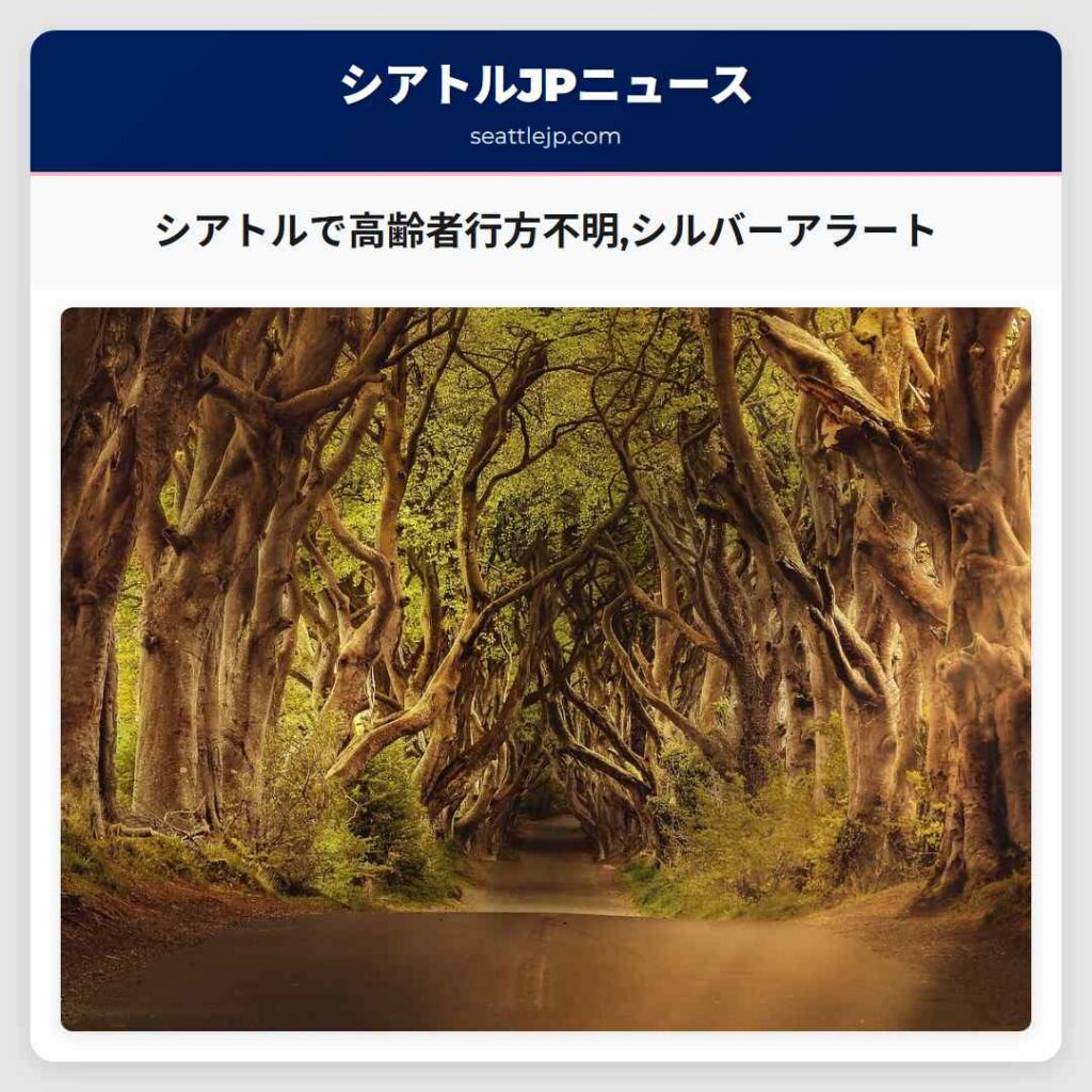 シアトルで高齢者行方不明,シルバーアラート