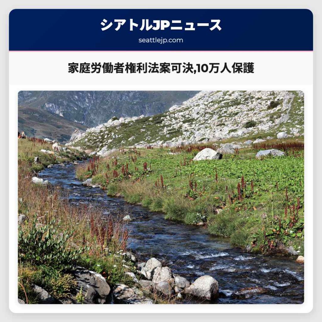 家庭労働者権利法案可決,10万人保護