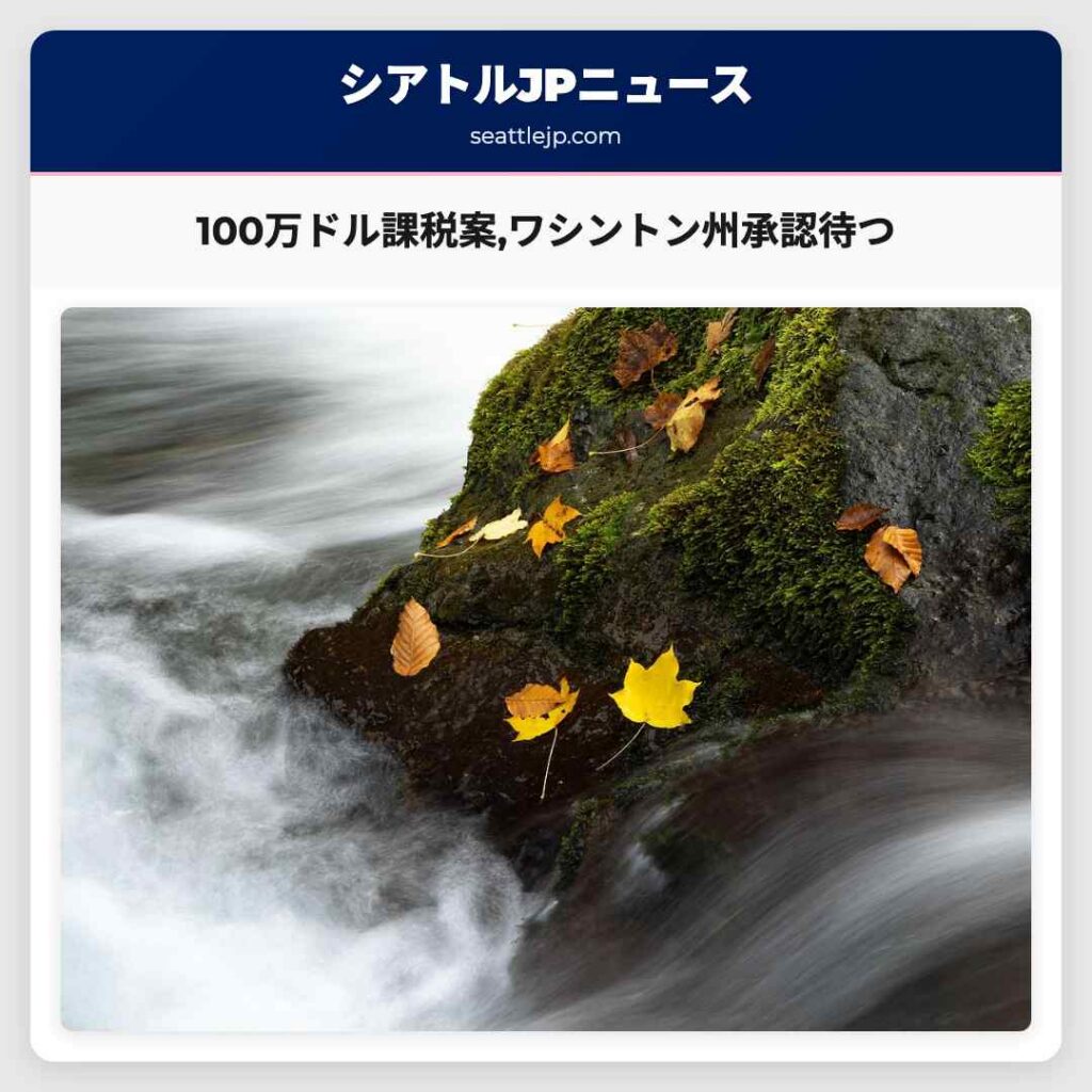 100万ドル課税案,ワシントン州承認待つ