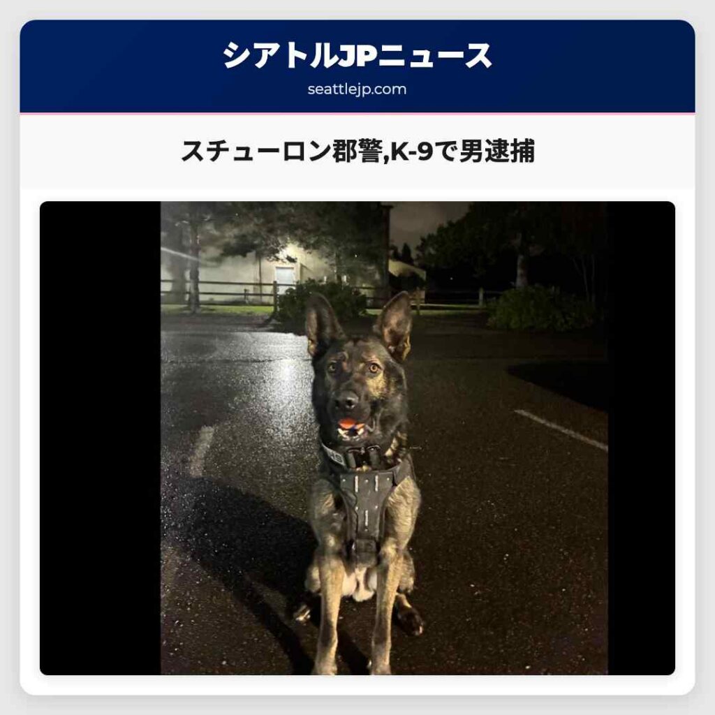 スチューロン郡警,K-9で男逮捕