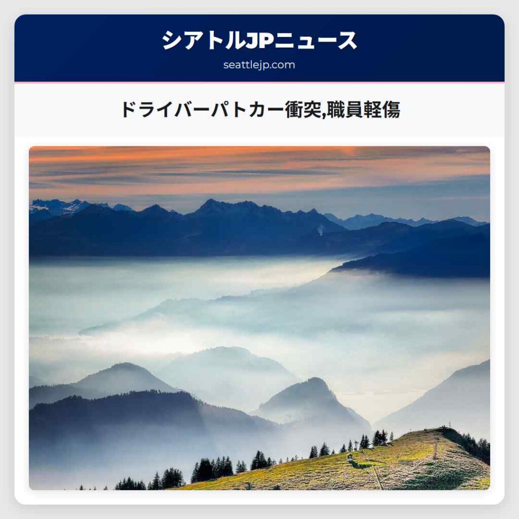 ドライバーパトカー衝突,職員軽傷