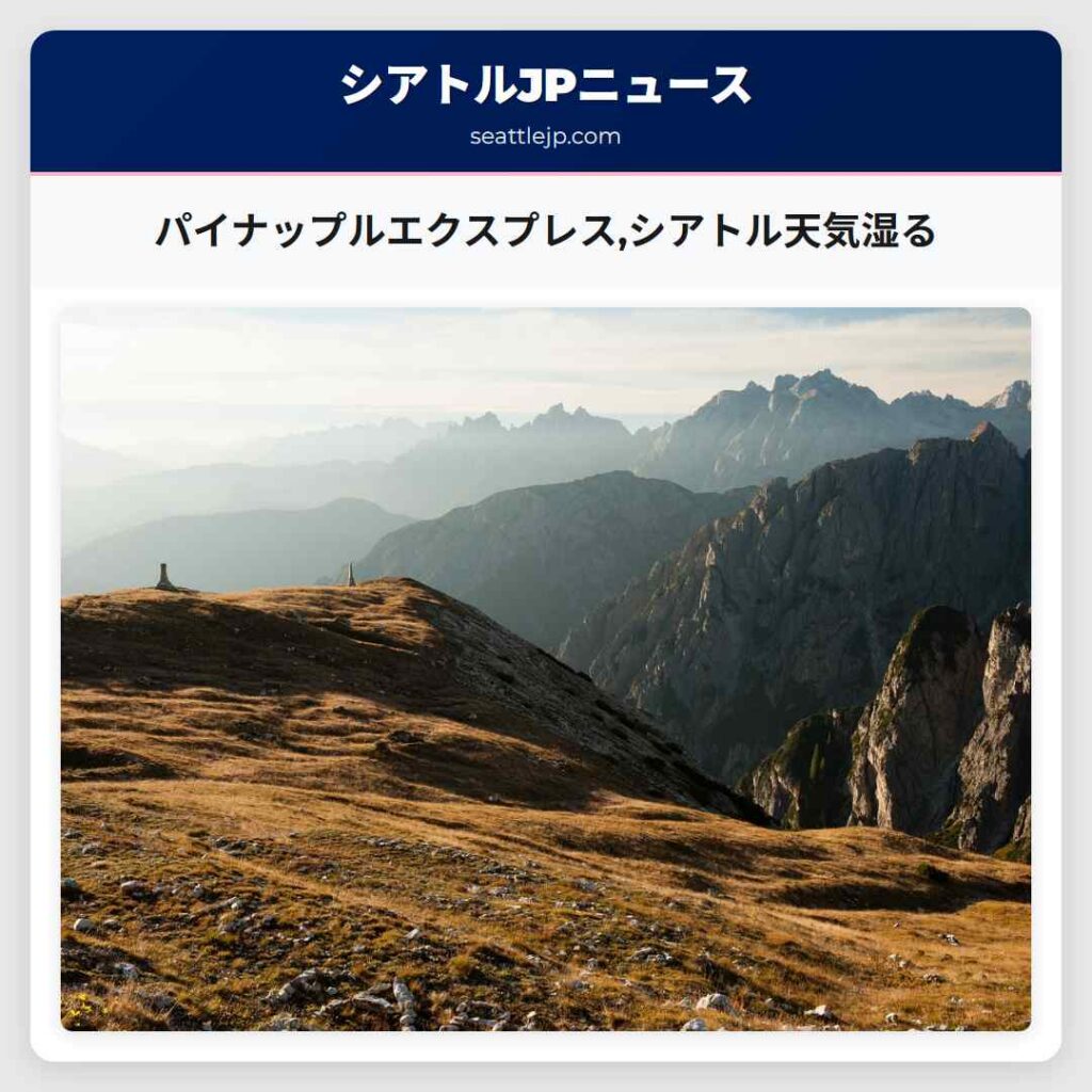 パイナップルエクスプレス,シアトル天気湿る