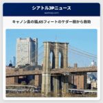 キャノン島の猫「ダッド」65フィートのケダー樹の上から無事救助