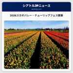 2026年のスカギバレー・チューリップフェスティバル早咲きで開幕