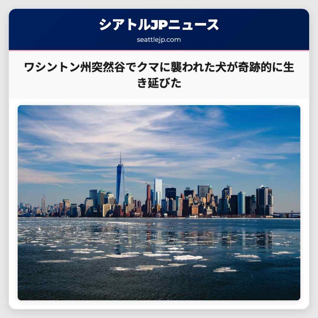ワシントン州突然谷でクマに襲われた犬が奇跡的に生き延びた
