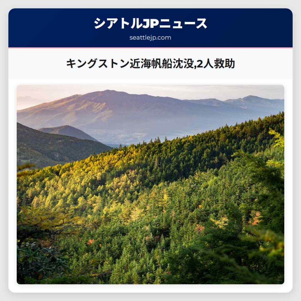 キングストン近海帆船沈没,2人救助