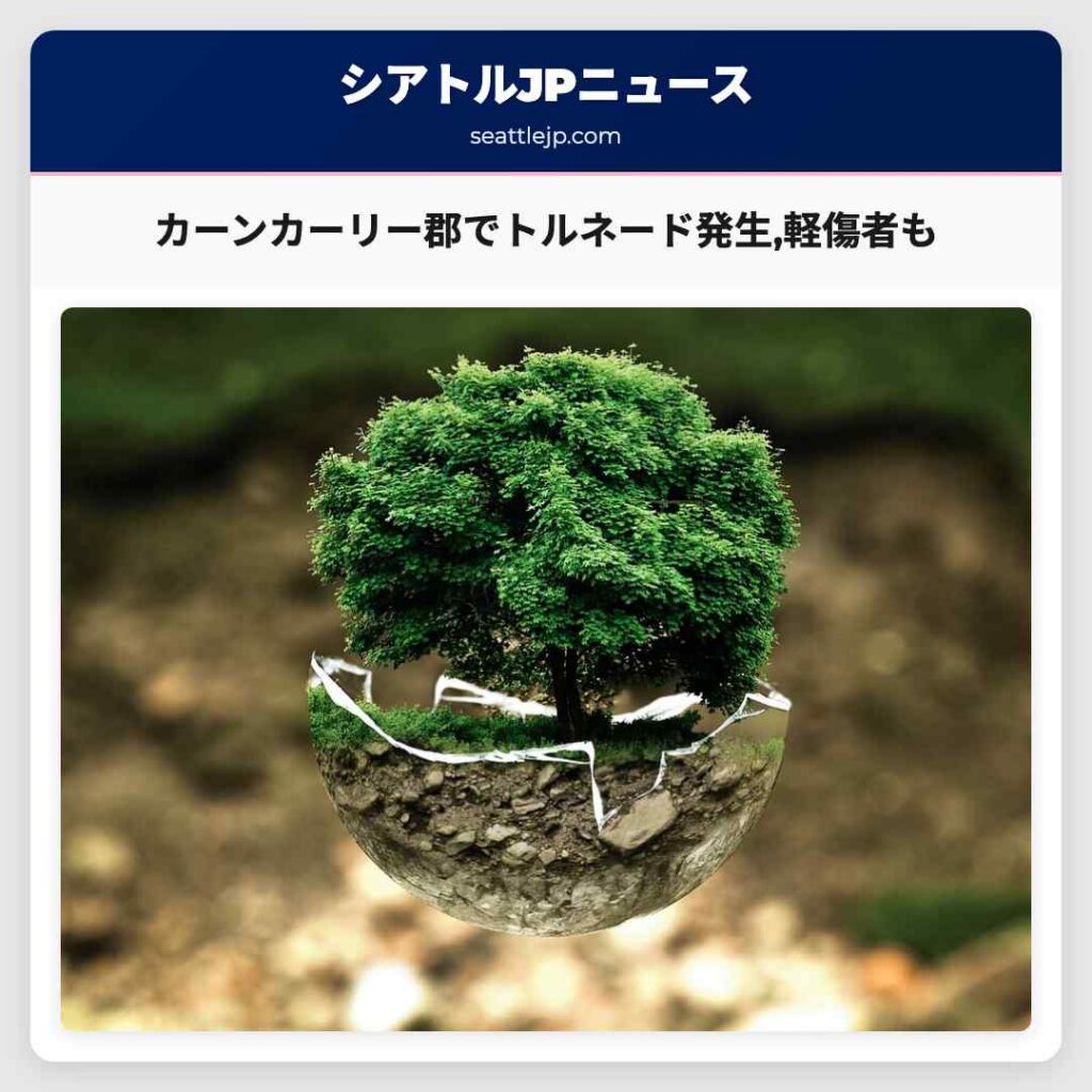 カーンカーリー郡でトルネード発生,軽傷者も