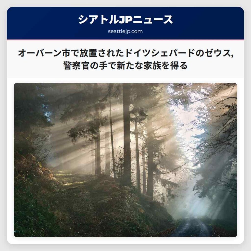 オーバーン市で放置されたドイツシェパードのゼウス,警察官の手で新たな家族を得る
