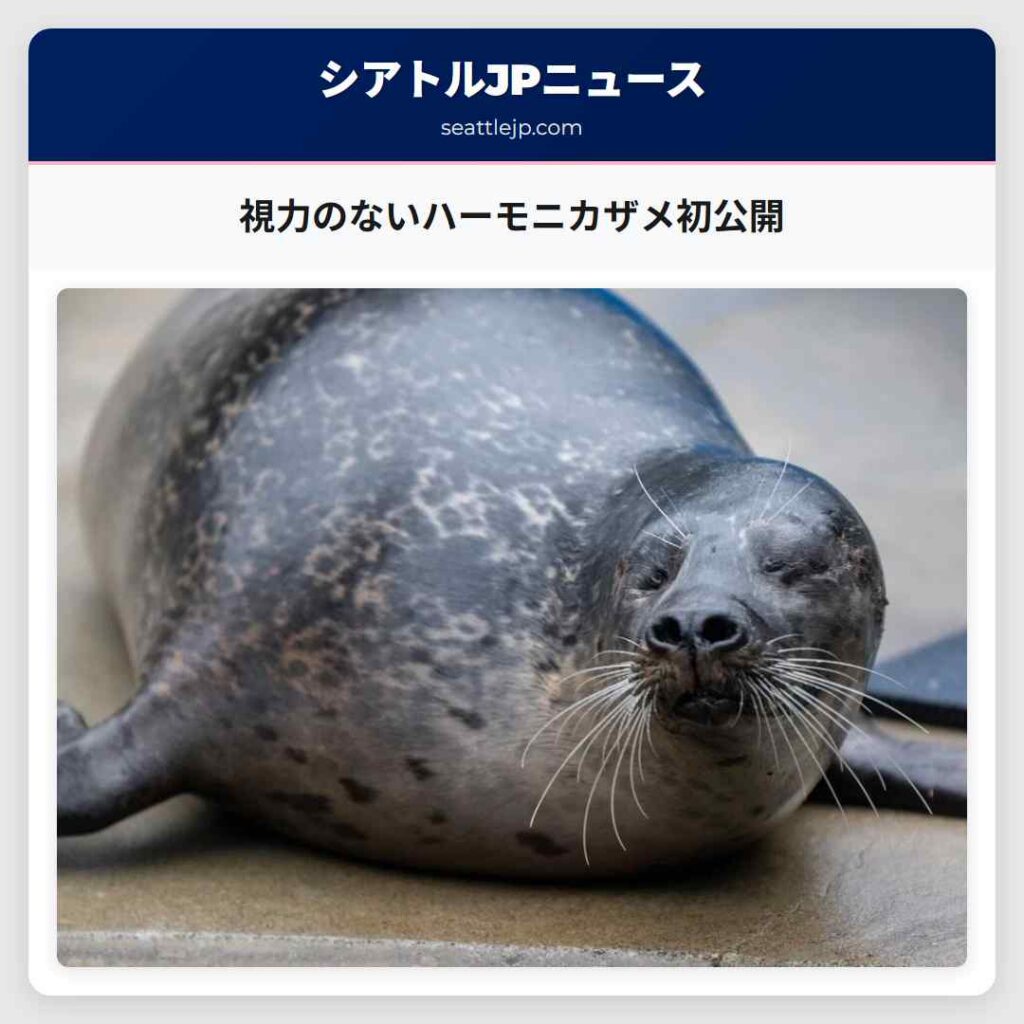 視力のないハーモニカザメ初公開