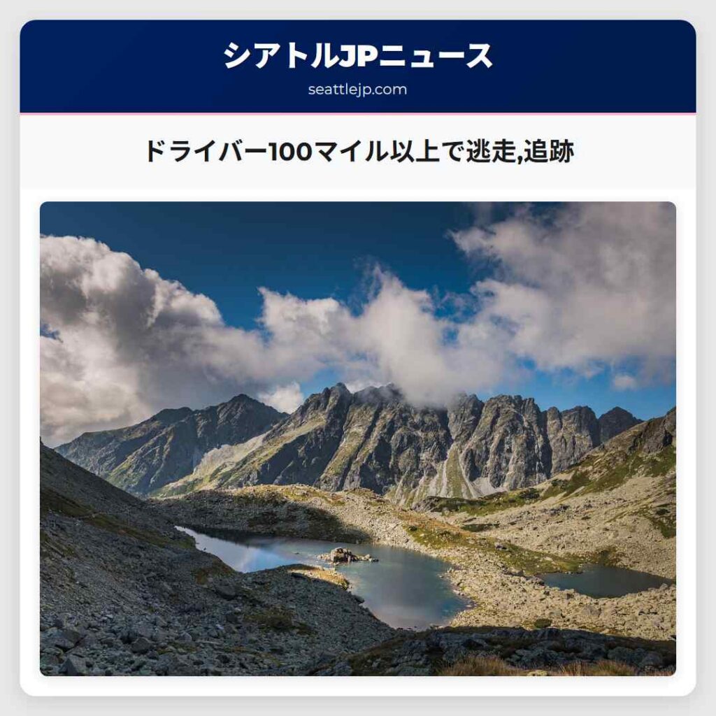ドライバー100マイル以上で逃走,追跡