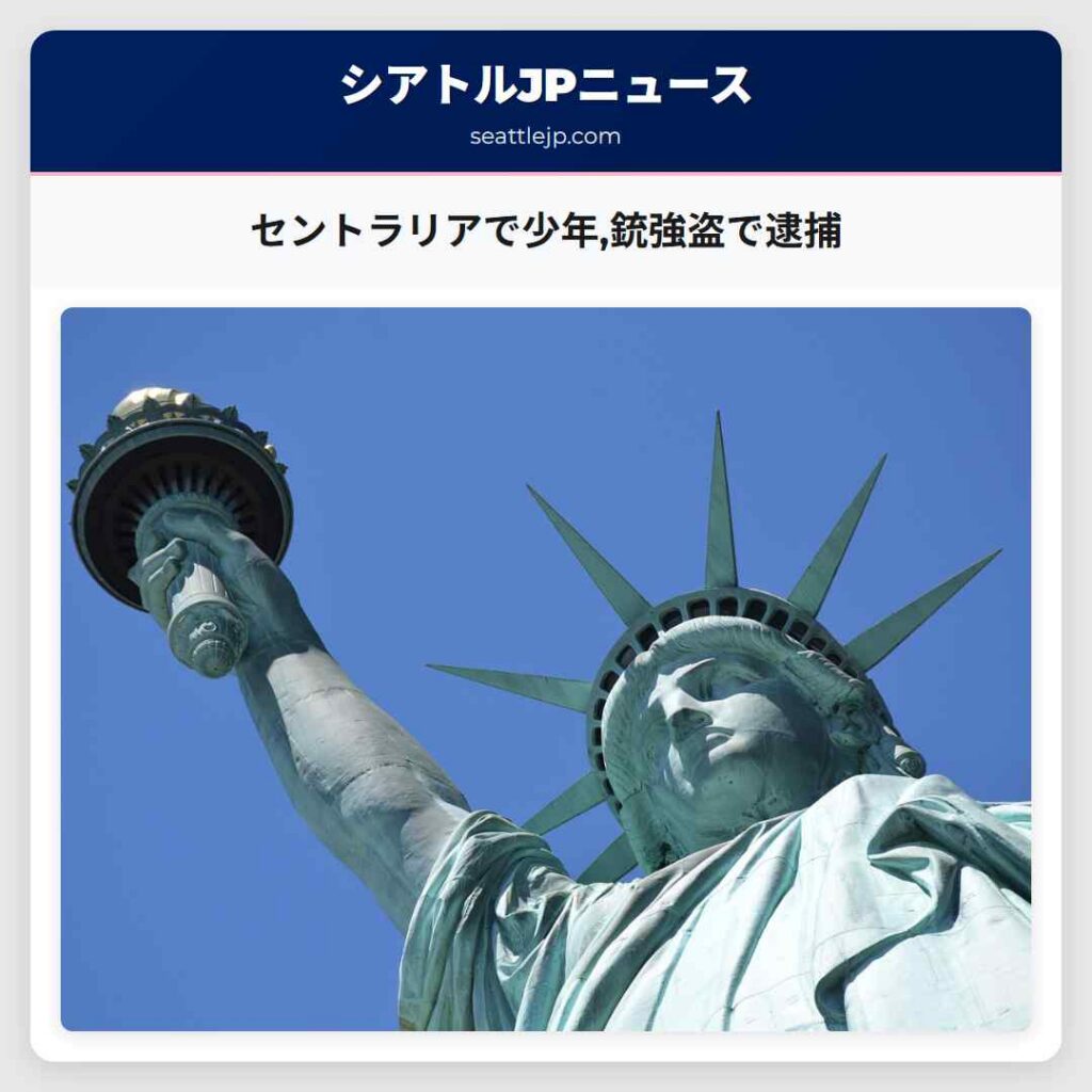 セントラリアで少年,銃強盗で逮捕