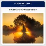 冬の嵐がワシントン州の道路を脅かす