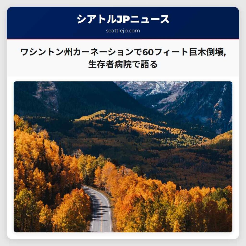 ワシントン州カーネーションで60フィート巨木倒壊,生存者病院で語る