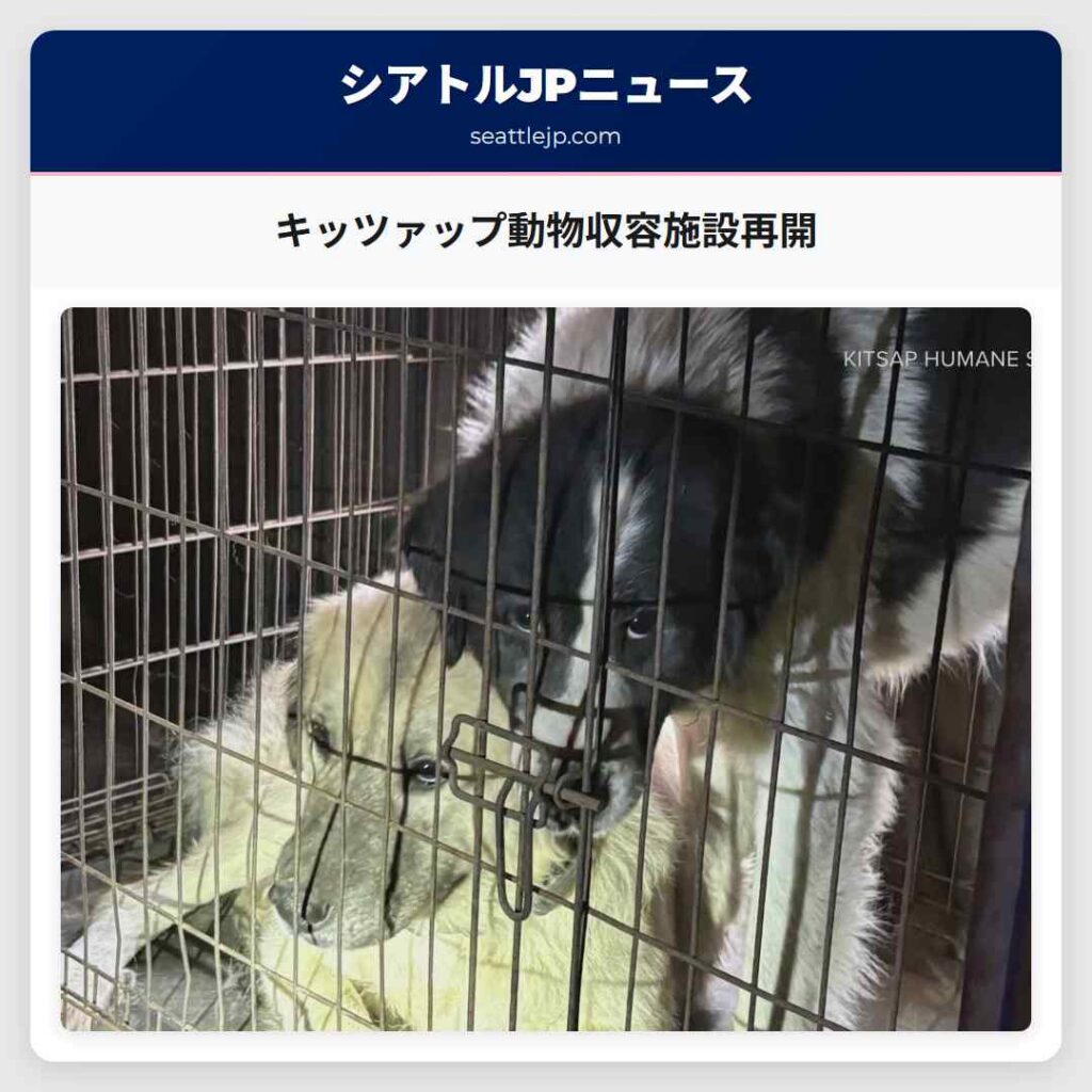 キッツァップ動物収容施設再開