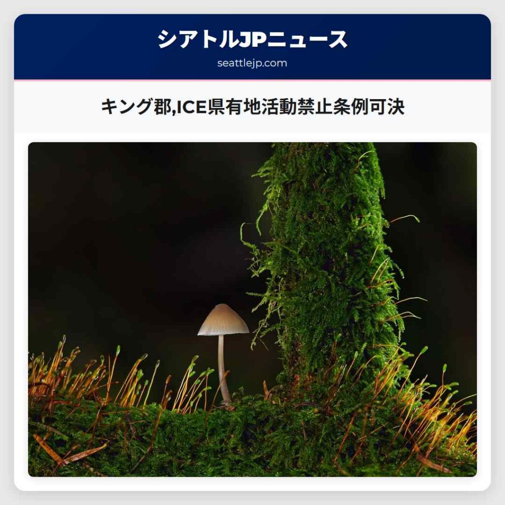 キング郡,ICE県有地活動禁止条例可決