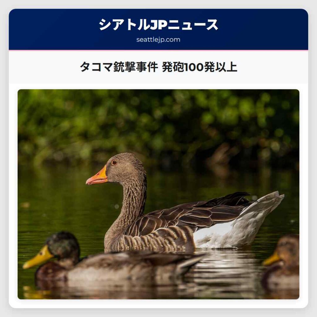 タコマ銃撃事件 発砲100発以上