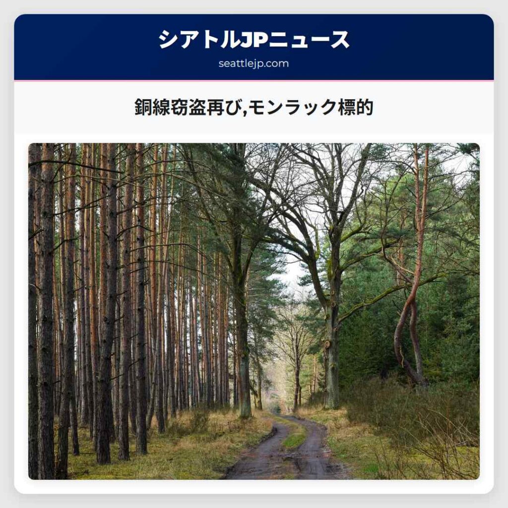 銅線窃盗再び,モンラック標的