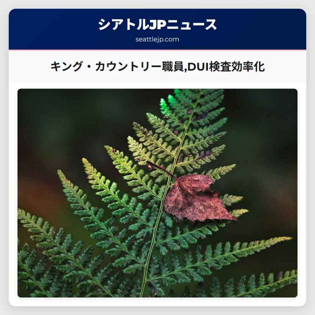 キング・カウントリー職員,DUI検査効率化