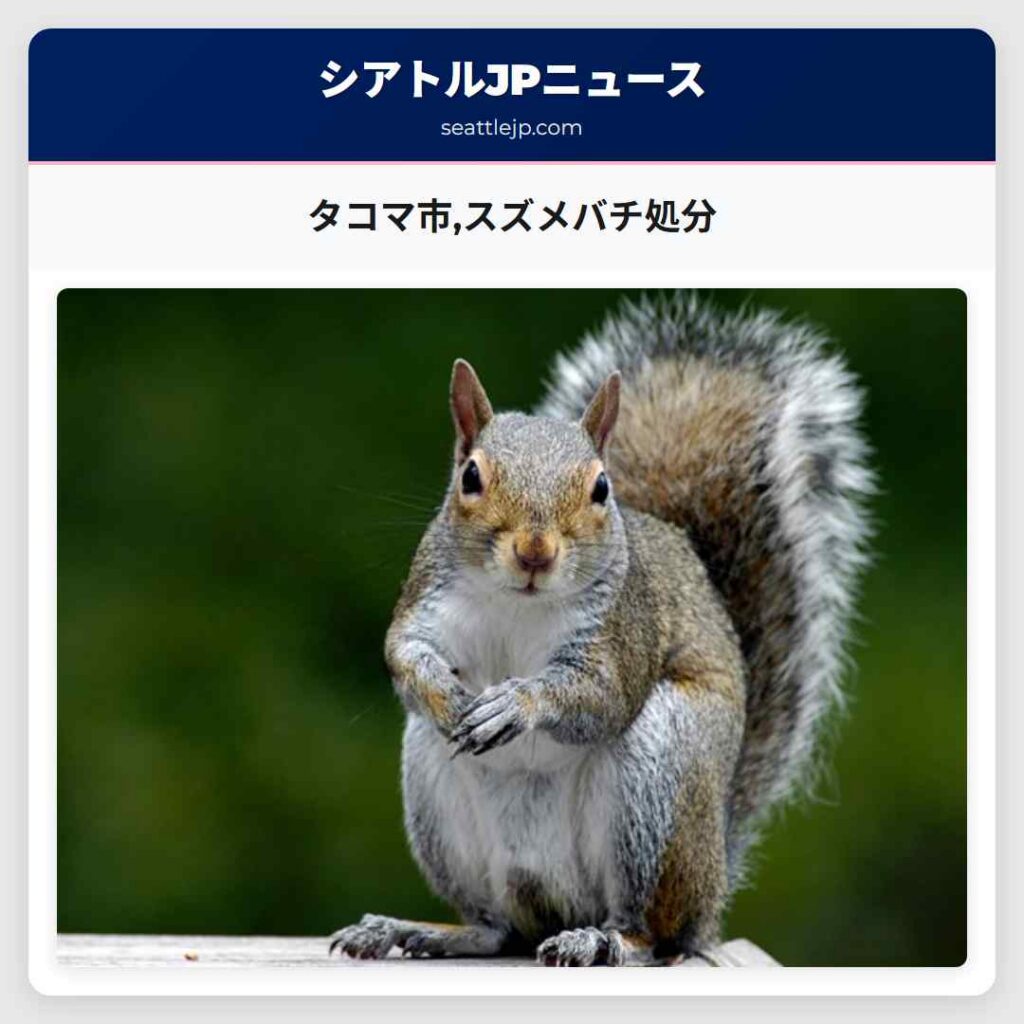 タコマ市,スズメバチ処分