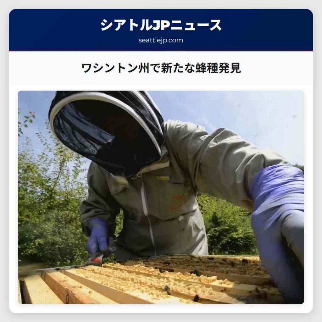 ワシントン州で新たな蜂種発見