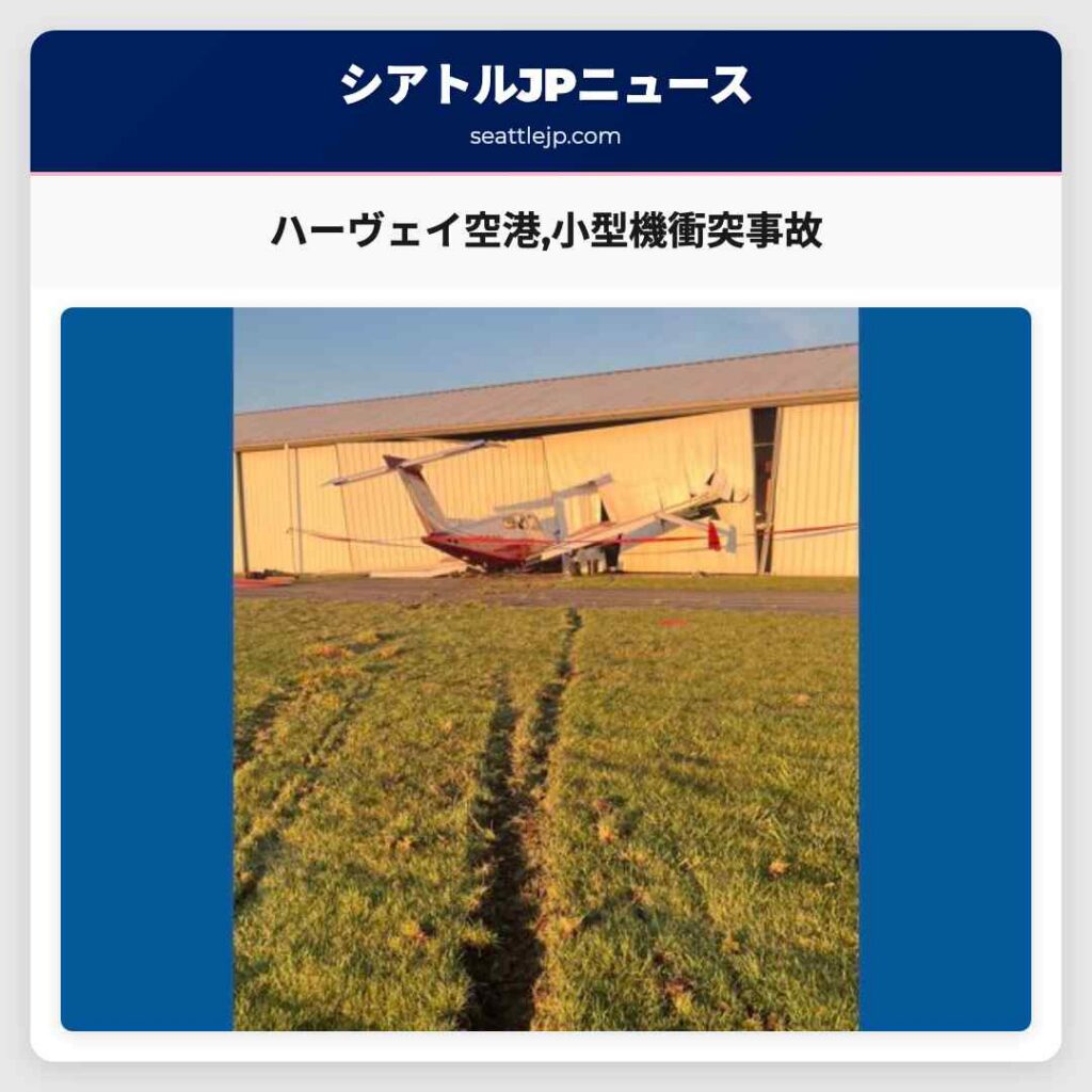 ハーヴェイ空港,小型機衝突事故