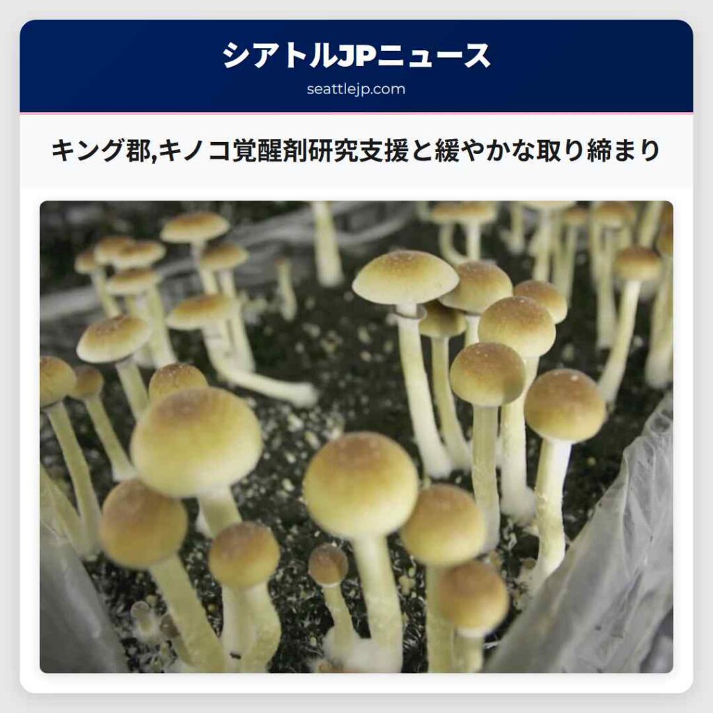 キング郡,キノコ覚醒剤研究支援と緩やかな取り締まり
