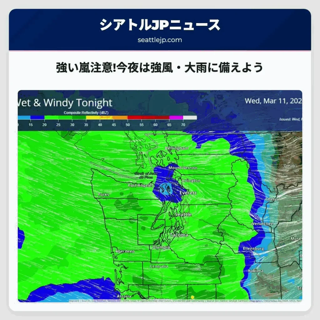 強い嵐注意!今夜は強風・大雨に備えよう