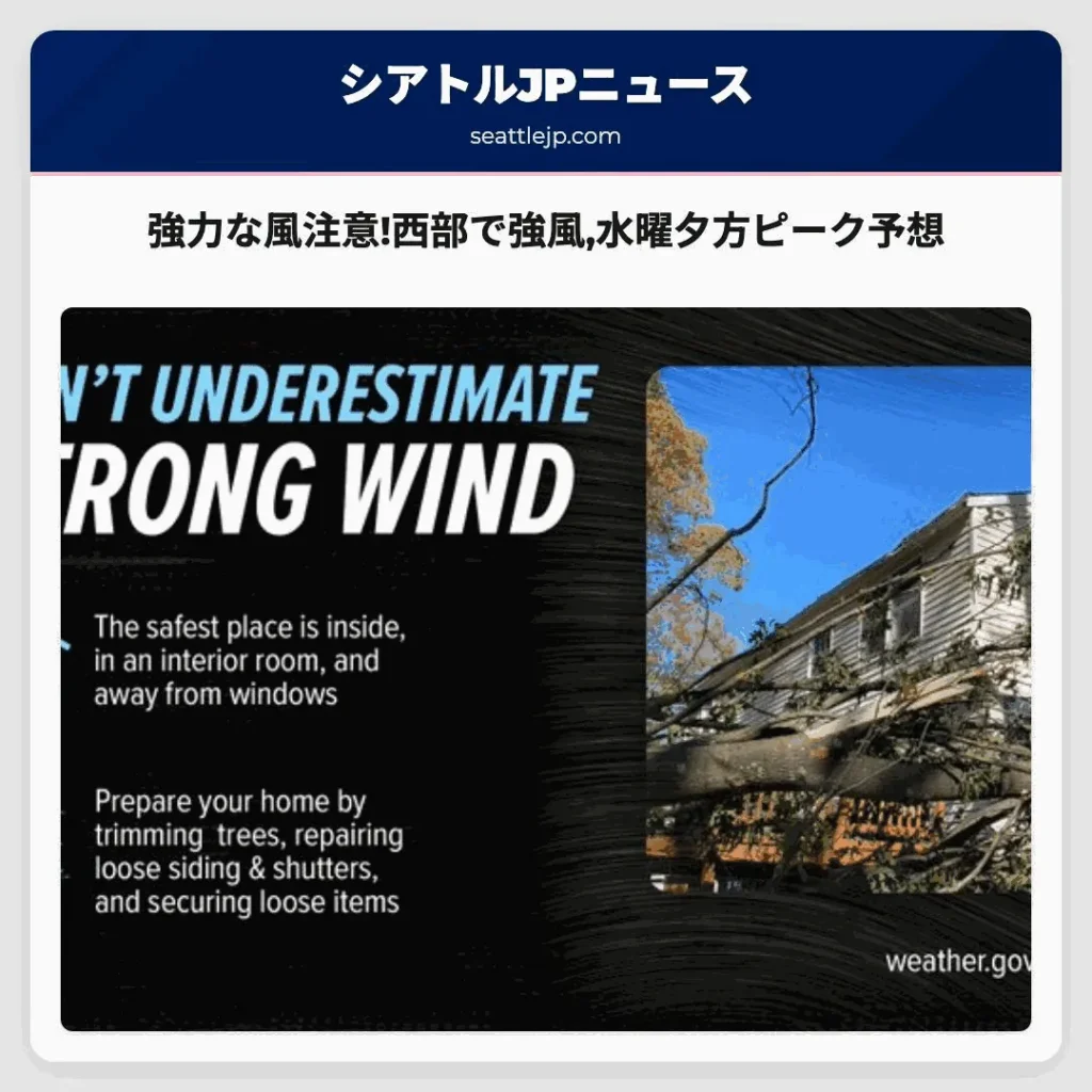 強力な風注意!西部で強風,水曜夕方ピーク予想